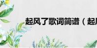 起風了歌詞簡譜(起風了歌詞)