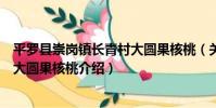 平羅縣崇崗鎮長青村大圓果核桃(關于平羅縣崇崗鎮長青村大圓果核桃介紹)