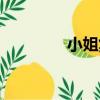 小姐集（關于小姐集簡介）