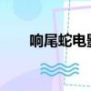 響尾蛇電影2019影評（響尾蛇電影）