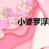 小婆羅浮圖（關于小婆羅浮圖簡介）