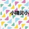 小精靈小姐（關于小精靈小姐簡介）