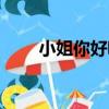 小姐你好嘢（關于小姐你好嘢簡介）