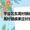 平谷區東高村鎮侯家莊村青年志愿者服務隊（關于平谷區東高村鎮侯家莊村青年志愿者服務隊介紹）