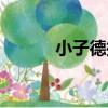 小子德揚（關于小子德揚簡介）
