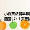小嬰孩益智早教圖畫書：1歲智能書（關于小嬰孩益智早教圖畫書：1歲智能書簡介）