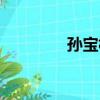 孫寶林（關于孫寶林介紹）