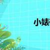 小婊砸（關于小婊砸簡介）
