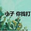 小子 你找打！（關于小子 你找打！簡介）
