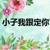 小子我跟定你了（關于小子我跟定你了簡介）