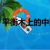 平衡木上的中國（關于平衡木上的中國介紹）