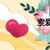 索愛X10（索愛x1論壇）