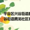 平谷區興谷街道騰龍社區青年志愿者服務隊（關于平谷區興谷街道騰龍社區青年志愿者服務隊介紹）