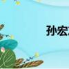 孫宏友（關于孫宏友介紹）