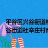平谷區興谷街道杜辛莊村青年志愿者服務隊（關于平谷區興谷街道杜辛莊村青年志愿者服務隊介紹）