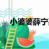 小婆婆薛寧嘉（關于小婆婆薛寧嘉簡介）