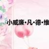 小威廉·凡·德·維爾德（關于小威廉·凡·德·維爾德簡介）