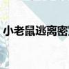 小老鼠逃離密室（關于小老鼠逃離密室簡介）