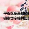 平谷區東高村鎮張岱辛撞村志愿服務隊（關于平谷區東高村鎮張岱辛撞村志愿服務隊介紹）