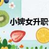 小婢女升職記（關于小婢女升職記簡介）