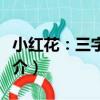 小紅花：三字兒歌（關于小紅花：三字兒歌簡介）