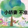 小嬌妻 不準逃（關于小嬌妻 不準逃簡介）