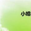 小婚禮（關于小婚禮簡介）