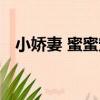 小嬌妻 蜜蜜寵（關于小嬌妻 蜜蜜寵簡介）