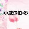 小威爾伯·羅斯（關于小威爾伯·羅斯簡介）