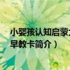 小嬰孩認知啟蒙大卡：早教卡（關于小嬰孩認知啟蒙大卡：早教卡簡介）