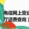 電信網上營業廳話費查詢余額（電信網上營業廳話費查詢）