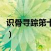 識骨尋蹤第十一季電視劇（識骨尋蹤第十一季）