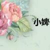 小婢子（關于小婢子簡介）