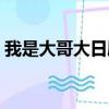 我是大哥大日劇百度網盤（我是大哥大日劇）