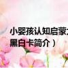 小嬰孩認知啟蒙大卡：黑白卡（關于小嬰孩認知啟蒙大卡：黑白卡簡介）