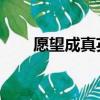 愿望成真英文短語（愿望成真 英文）