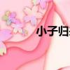 小子歸來（關于小子歸來簡介）