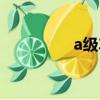 a級車動力排行（a級車）