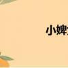 小婢女（關于小婢女簡介）