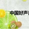 中國好聲音 衛視（中國好聲音奇藝）