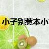小子別惹本小姐（關于小子別惹本小姐簡介）