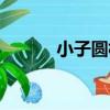小子圓柏（關于小子圓柏簡介）