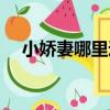 小嬌妻哪里逃（關于小嬌妻哪里逃簡介）