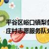 平谷區峪口鎮梨各莊村志愿服務隊（關于平谷區峪口鎮梨各莊村志愿服務隊介紹）