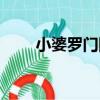 小婆羅門國（關于小婆羅門國簡介）