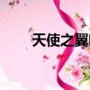 天使之翼吻戲合集（天使之翼吻戲）