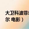 大衛科波菲爾電影版 百度網盤（大衛科波菲爾 電影）