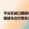 平谷區峪口鎮胡辛莊村青年志愿者服務隊（關于平谷區峪口鎮胡辛莊村青年志愿者服務隊介紹）