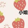 小姐妹（關于小姐妹簡介）