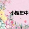 小姐集中營（關于小姐集中營簡介）